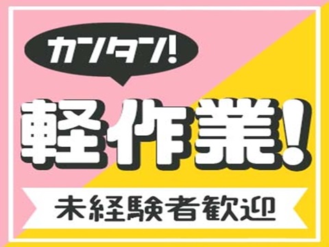 未経験歓迎の軽作業
日勤のみ土日休み