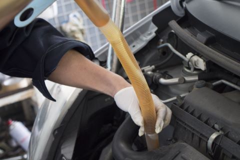整備士免許あるも未経験
ガソリンスタンドでアルバイトで自動車に興味！